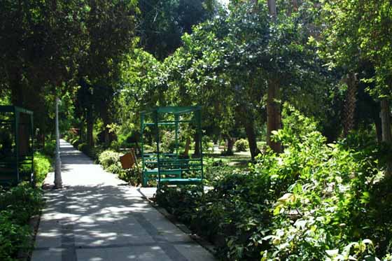 Jardins de l'île Kitchener à Assouan.